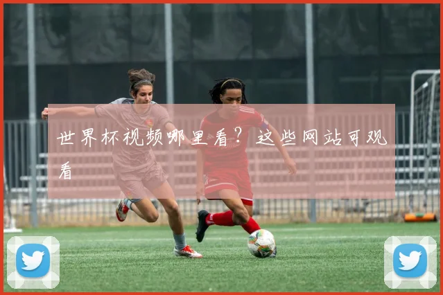 世界杯视频哪里看？这些网站可观看