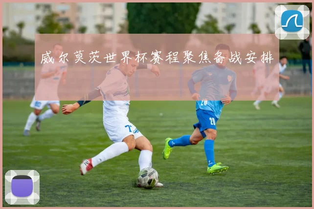 威尔莫茨世界杯赛程聚焦备战安排