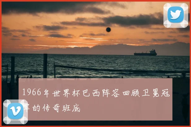 1966年世界杯巴西阵容回顾卫冕冠军的传奇班底