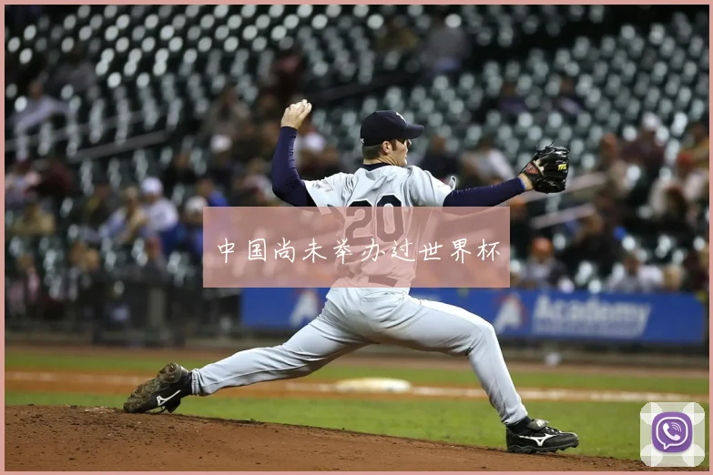 中国尚未举办过世界杯