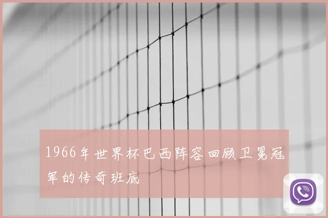 1966年世界杯巴西阵容回顾卫冕冠军的传奇班底