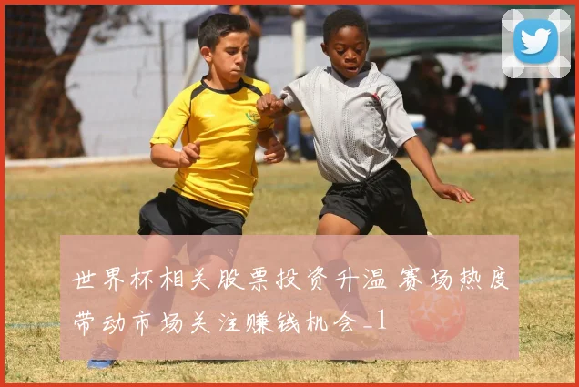 世界杯相关股票投资升温 赛场热度带动市场关注赚钱机会_1